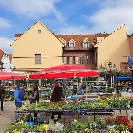 Dolac Guesthouse Zagrzeb Zewnętrze zdjęcie